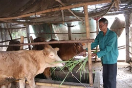 Tra Vinh earmarks 64.2 million USD to improve ethnic minority people’s life