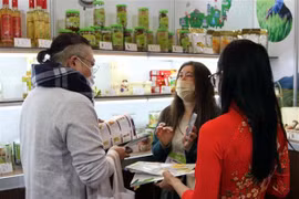 Vietnam-Japan trade tops 23 billion USD in H1