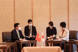 Deputy PM calls for more Japanese investment in Vietnam