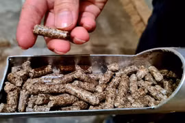 Wood sector to earn more on woodchips, pellets 