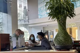 Vietnam seeks to quicken recovery of international tourism