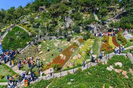 Domestic tourists hit 5.5 million during Tet holiday