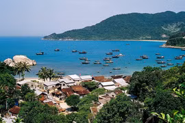 UNESCO programme calls for youth initiatives for plastic-free oceans