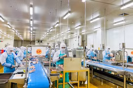 Vietnam to export first processed chicken lot to Japan