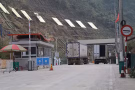 Enterprises to declare on digital border gate platform