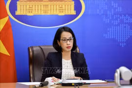 Vietnam augmenting efforts against human trafficking: deputy spokeswoman