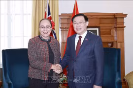 Vietnam, New Zealand vow to step up cooperation in different areas