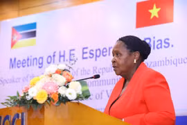 Mozambique – gateway for Vietnamese firms to access Southern Africa