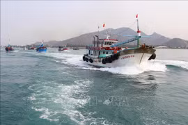 Ninh Thuan fights IUU fishing to boost sustainable maritime economy