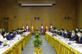 Vietnam, Laos hold ninth foreign ministerial-level consultation meeting