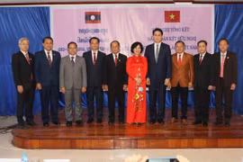 Vietnam-Laos friendship year experiences myriad activities across fields