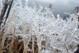 Bitter cold in northern region to linger until February 22