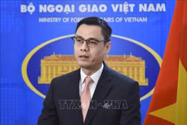 Ambassador Dang Hoang Giang begins tenure as head of Vietnam's permanent delegation to UN 