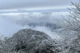 More cold spells expected to hit north, northern central regions in February