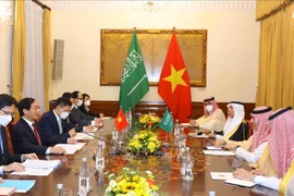 Foreign Minister Bui Thanh Son holds talks with Saudi Arabian counterpart