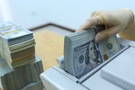 Reference exchange rate up 5 VND