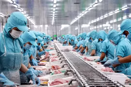 Vietnam’s seafood market share in Latin America increases thanks to CPTPP