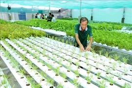 Links between farmers and enterprises vital to promoting agricultural product quality, exports