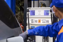 Keeping CPI below 4 pct this year a challenge: Economist