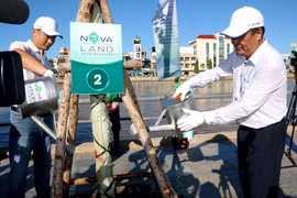 Binh Thuan aims to plant 10 million trees by 2025