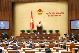 Government proposes delay to submission of draft amended Land Law to NA