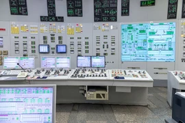 Indonesia striving to lure nuclear power FDI