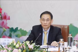 Vietnamese, German parties eye stronger cooperation 