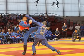 Vietnam wins three gold medals at 6th world vovinam championship