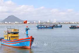 Khanh Hoa province makes progress in combating IUU fishing