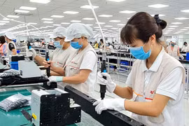 HCM City: New foreign investment tops 3.5 billion USD