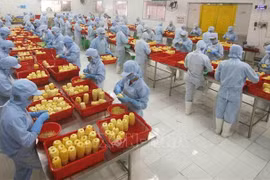 Vietnam looking to expand export to Eurasian market