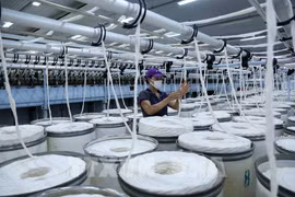 Vinatex’s net profit rises sharply last year