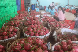Tien Giang expects 16% increase in exports