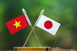 Logo design contest launched for 50th anniversary of Vietnam-Japan diplomatic ties