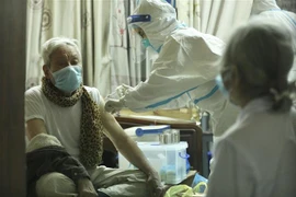 COVID-19: New cases on January 11 total 16,035