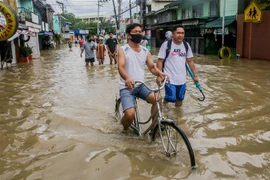 Death toll from typhoon Nalgae in Philippines rises