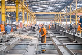 Strong purchasing power, demand drive Vietnam’s economic growth: expert