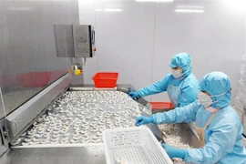 Vietnam’s exports to Australia face slow quarantine