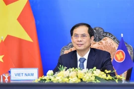Foreign Minister attends AMMR via videoconference: Spokeswoman