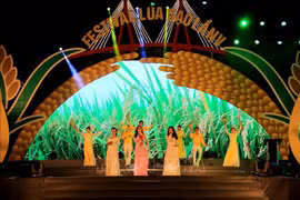  5th Vietnam Rice Festival concludes