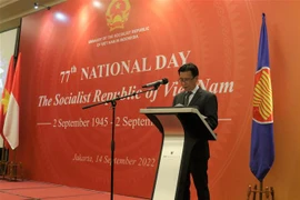 Vietnam-Indonesia ties in prime time: Ambassador