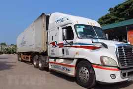 Vietnam, China localities discuss ways to early resume customs clearance for goods 