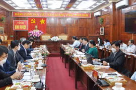 Japanese firm seeking investment opportunity in biomass power in Binh Phuoc