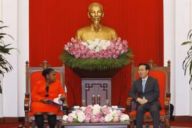 Vietnam, Mozambique see extensive cooperation potential: Party official