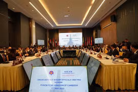Vietnam attends ADSOM, ADSOM+ in Cambodia