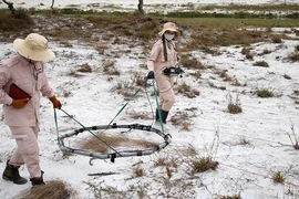 Vietnam in need of international support for bomb, mine clearance