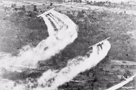 Vietnam attends US conference on war aftermath settlement 