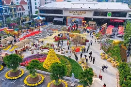 HCM City opens tourist sites for Tet festival