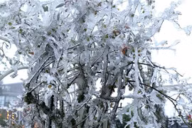 Bitter cold remains in northern, north central regions