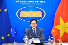 Vietnam, EU work to expand cooperation in priority areas